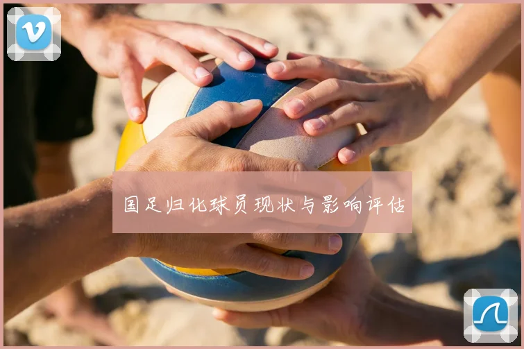 国足归化球员现状与影响评估