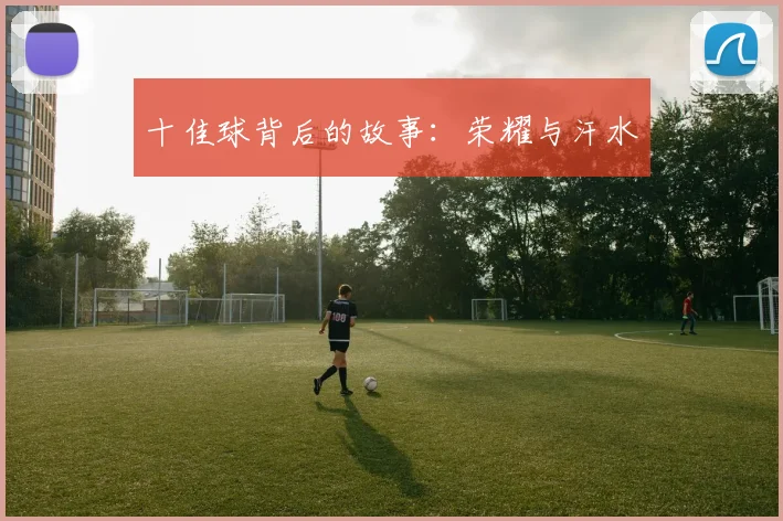 十佳球背后的故事：荣耀与汗水