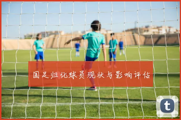 国足归化球员现状与影响评估